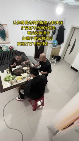 看看邊牧的報復心有多#邊牧的報復心有多強