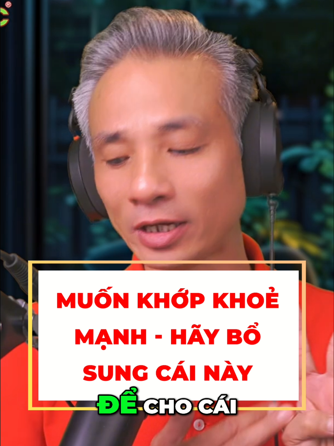 Khớp khoẻ – xương chắc – hết kêu rắc rắc: Bí mật nằm ở thực phẩm quen thuộc này! #xuhuong #fyp #thucpham #dinhduong #omega3 #collagen #Bacsithethao #Starsmec #BacsiNguyenTrongThuy #BacsithethaoNguyenTrongThuy #Suckhoe #Yhocthethao #Bacsigiadinh