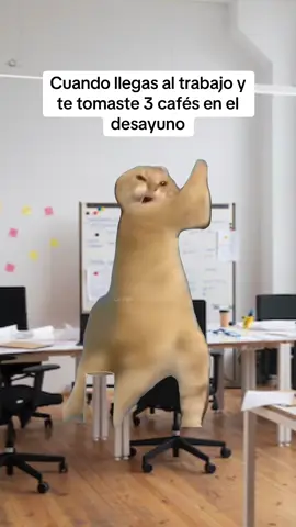 #paratiiiiiiiiiiiiiiiiiiiiiiiiiiiiiii #Meme #fyp #humor #capcutvelocity 