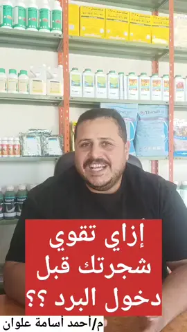 إزاي تقوي شجرتك قبل دخول البرد ؟؟؟