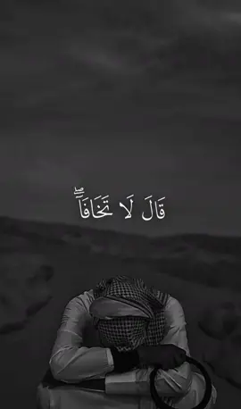 سورة طه🤍✨#قران #قران_كريم #ALLAH #fyp #اللهم_صلى_على_نبينا_محمد 