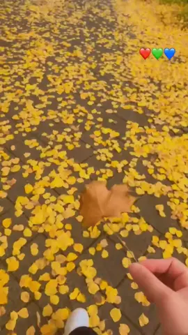 #حكيات #لا تنتهي 🍁🍁💛