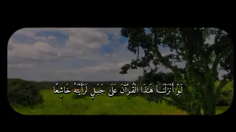 لَوْ أنزَنَا هَذَا الْقُرآنَ عَلَى جَبَلٍ لَرَأيتَهُ خَاشِعًا #بدر_التركي #quran #تلاوة_خاشعة  #اكتب_شي_توجر_عليه #متابعة 
