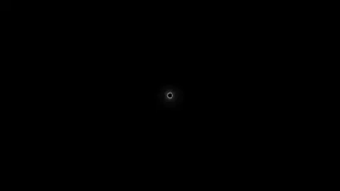 flatline #lynxlyrics #fyp #lyrics 