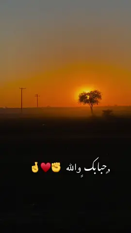 #مشاهير #عرب 