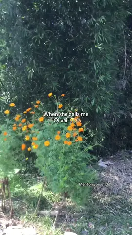 Girlfriend dd😭#fpyシ #yessir #foryoupage #everyone #unfrezzmyaccount 