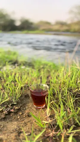 #تصويري #وادي_حلي #طبيعة #اجواء_خيالية #اكسبلورexplore 