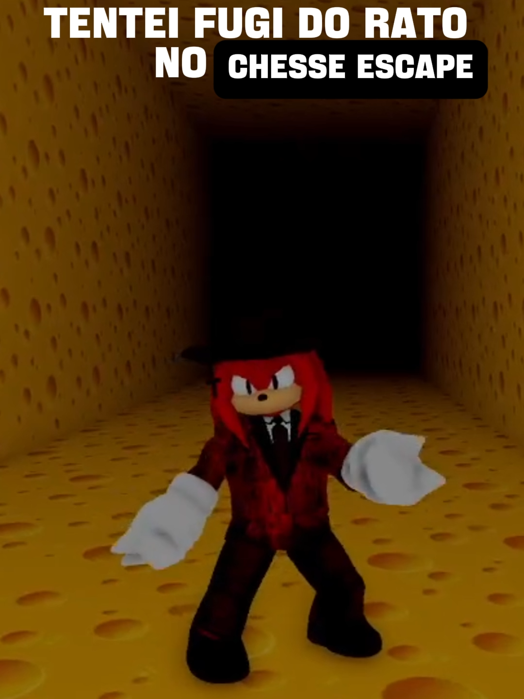 quem tem medo disso? comenta ai ib do audio: @pobretambemdubla  #robloxfyp  #rato  ##comedia  #vaiprofycaramba  #knucklestheechidna