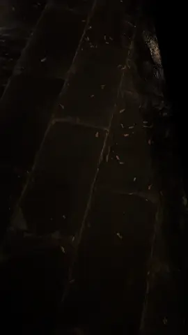 #sabahancrew_fams #fypviralシ #4upage #syamzz_____ 