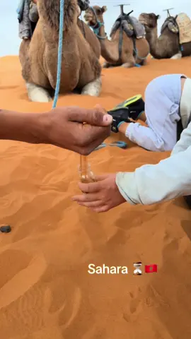 Désert du Sahara. 🇲🇦 #desert #sahara #maroc #vacances #merzouga 