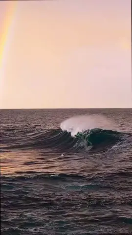 My life may not be perfect, but I'm deeply grateful for everything I have. #motivational_life #life #grateful #fyp #positiveenergy 