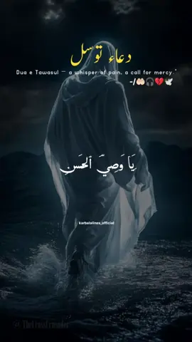 Dua e Tawasul 🎧  #karbalalines_official #shia #foryou  #dua  #bibifatimazahraص 
