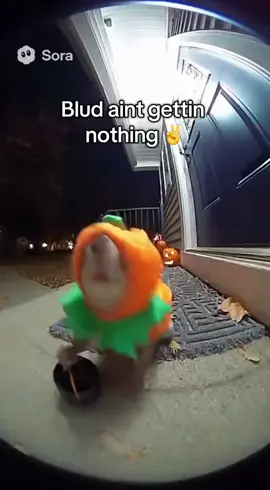 Buddy aint gettin no candy or vbucks #funny #viral 