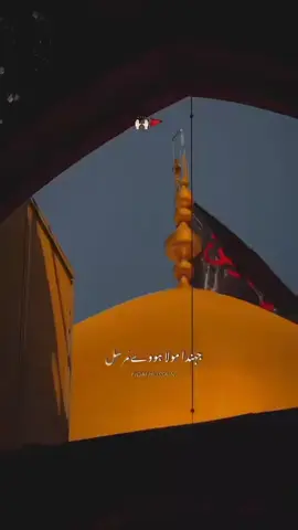 #duet with @فدائے حسین ع 🏴🌸 #molaghaziabbas 