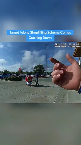 Target Felony Shoplifting Scheme Comes Crashing Down #cops 