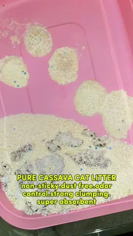 PURE CASSAVA CAT LITTER makakatipid ka dito dahil walang tapod sa cassava cat litter na ito #catlitter  #cassavacatlitter  #purecassavacatlitter  #cutepolcassavacatlitter  #cutepolpurecassavacatlitter 