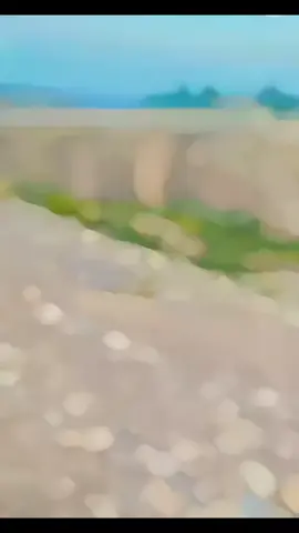 👍👍👍👍👍❤️❤️❤️❤️🔥🔥🔥🔥🔥🫵🫵🫵💪💪