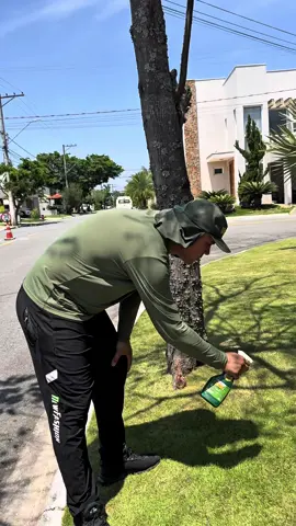 Dica para ter um gramado lindo em 2025 #jardim #fyp #paisagem 