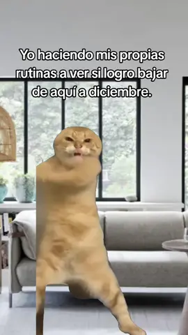 #Meme #MemeCut #CapCut 