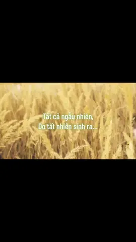 Tất cả ngẫu nhiên do tất nhiên sinh ra…