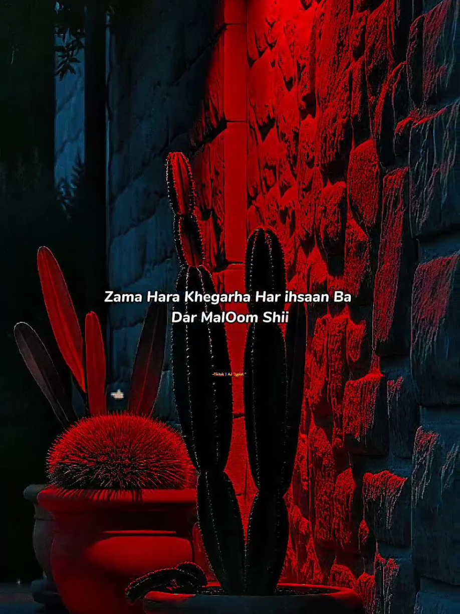 𝗭𝗮𝗺𝗮 𝗛𝗮𝗿 𝗶𝗵𝘀𝗮𝗮𝗻 𝗕𝗮 𝗗𝗮𝗿 𝗠𝗮𝗹𝗼𝗢𝗺 𝗦𝗵𝗶𝗶... 🥲🔥🎧🌹 