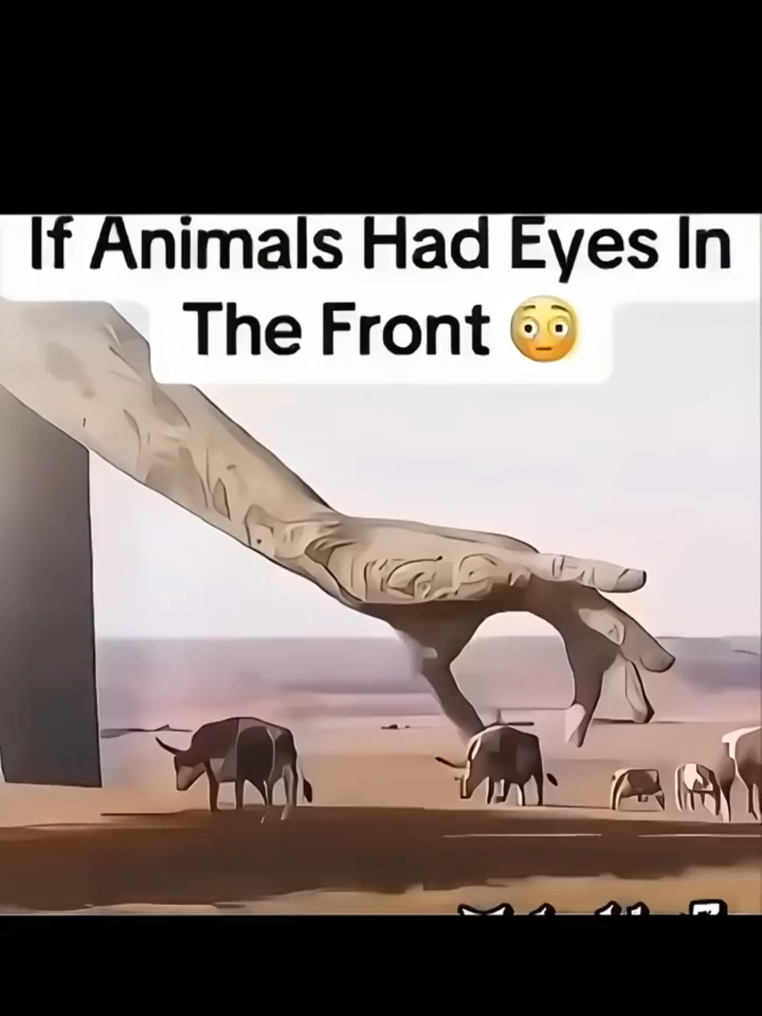 What if Animals Have Eyes in The Front ? #paratii #f1edit #f1 #fyp #formula1 #MaxVerstappen ★ upload method ★ TG: @editing_news