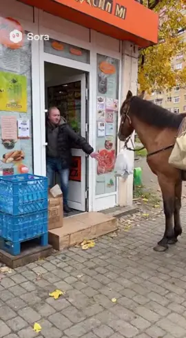 #sora#ai#sora2#українськийтікток#дніпром