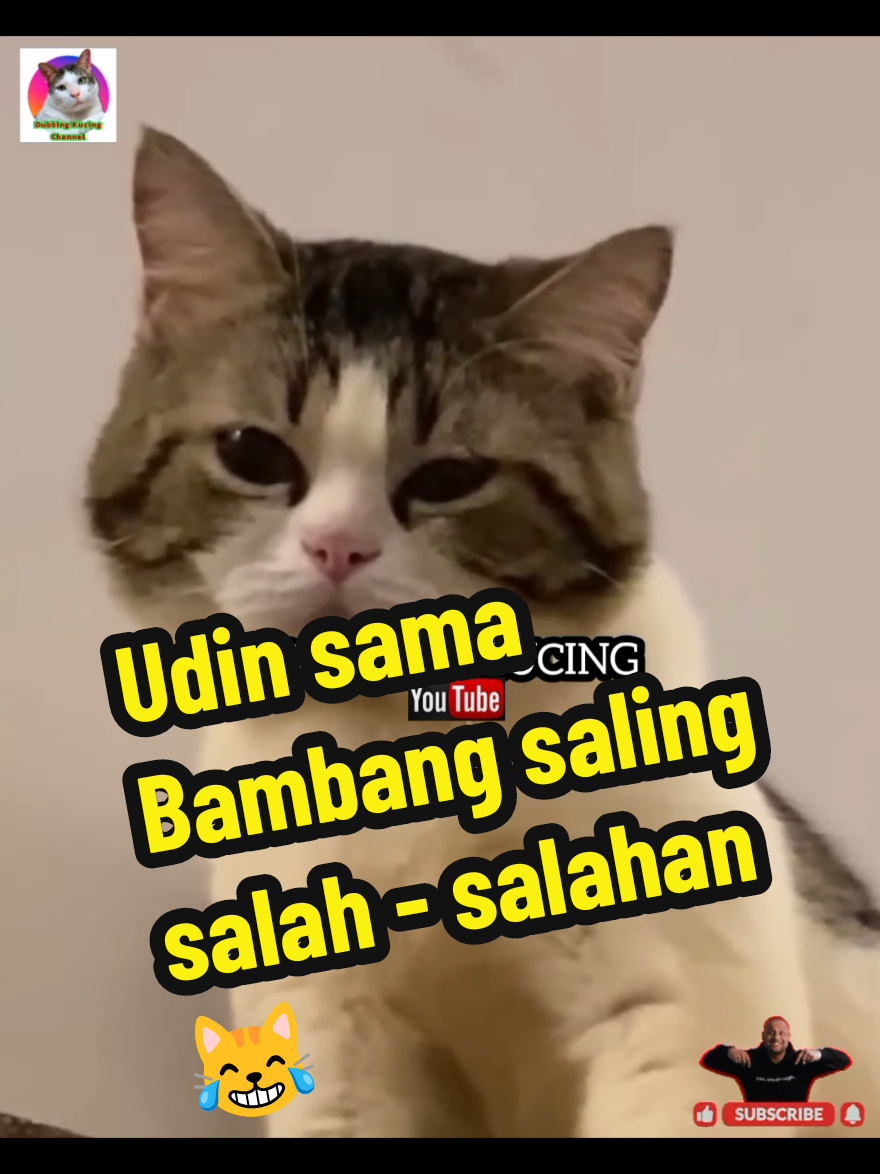 Udin sama Bambang saling salah - salahan 😹 #fyp #dubbingkucinglucu #kucingtiktok #dubbingkucing #kucinglucu 