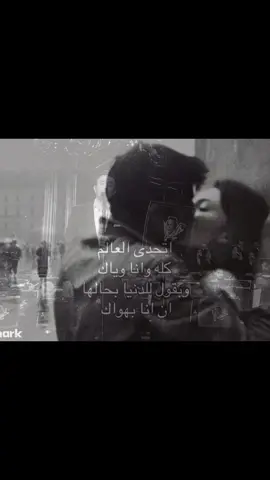 قناتي التلي بايو #تصميم_فيديوهات🎶🎤🎬 #fyp #اغاني_عراقية #Sing_Oldies #صابر_الرباعي 