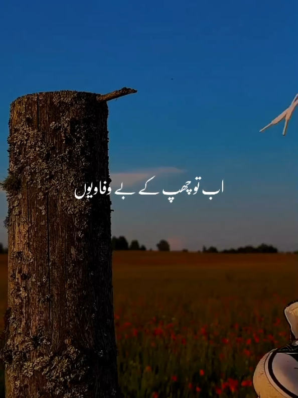 Yar Mera tetlinay🦋  . . #Fyp #foryoupage #aestheticmusic456 #trending #Viral 