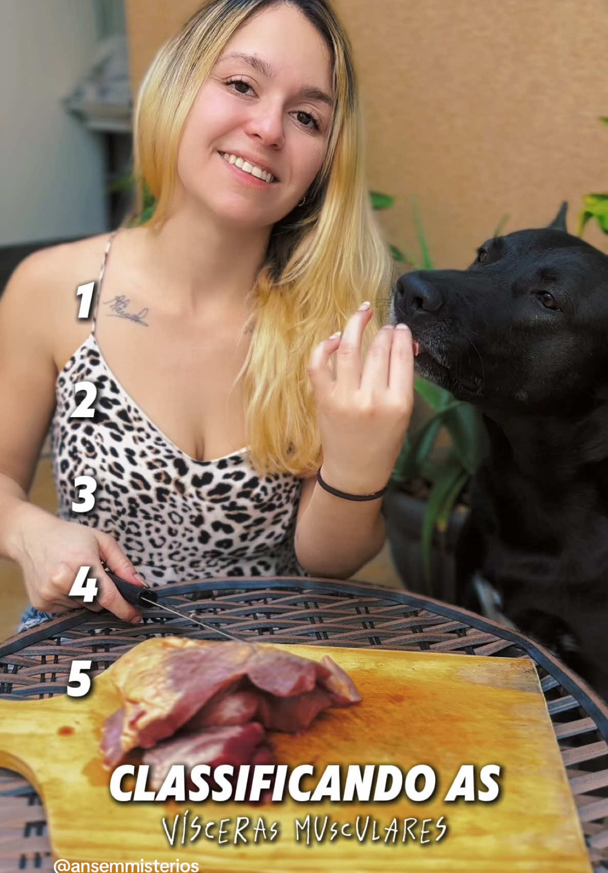 Classificação das carnes para alimentação natural para cachorro #alimentacaonatural #maedepet #dicapet #cachorros #animal  @ansemmisterios 