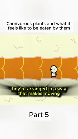 #animation #funny #carnivorousplant #fy #fyp 