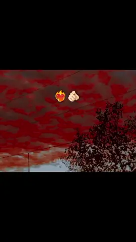 Noches de aventuras (Ozuna ) #ozuna #indirectas #directas #spotify #aventura @Spotify 