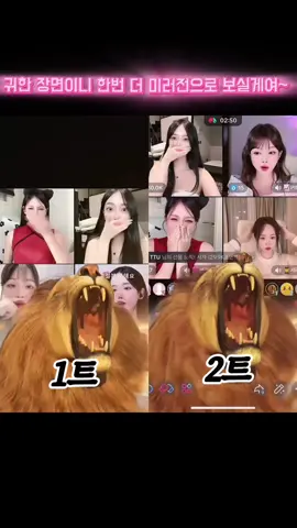 친구도 나도 1년만에 보는 사자..🦁🖤 이 험난한 틱톡세상에  유일한 친구와 함께  나란히 행복할 수 있게 해줘서  나에게 더욱 더 뜻깊은날이 되었어🩷 오빠같은 사람은 아무도 없었고 앞으로도 없을거야. 늘 고맙지만 더더욱 더 고마워,@TTU  #보석함#추억하나더#추가요 🫶