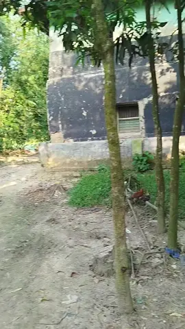 #bangladesh #ti̇ktok #vairal #video #