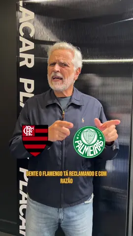 SACANEARAM O FLAMENGO! #Flamengo #Palmeiras #Doping #ForYou #Sormani