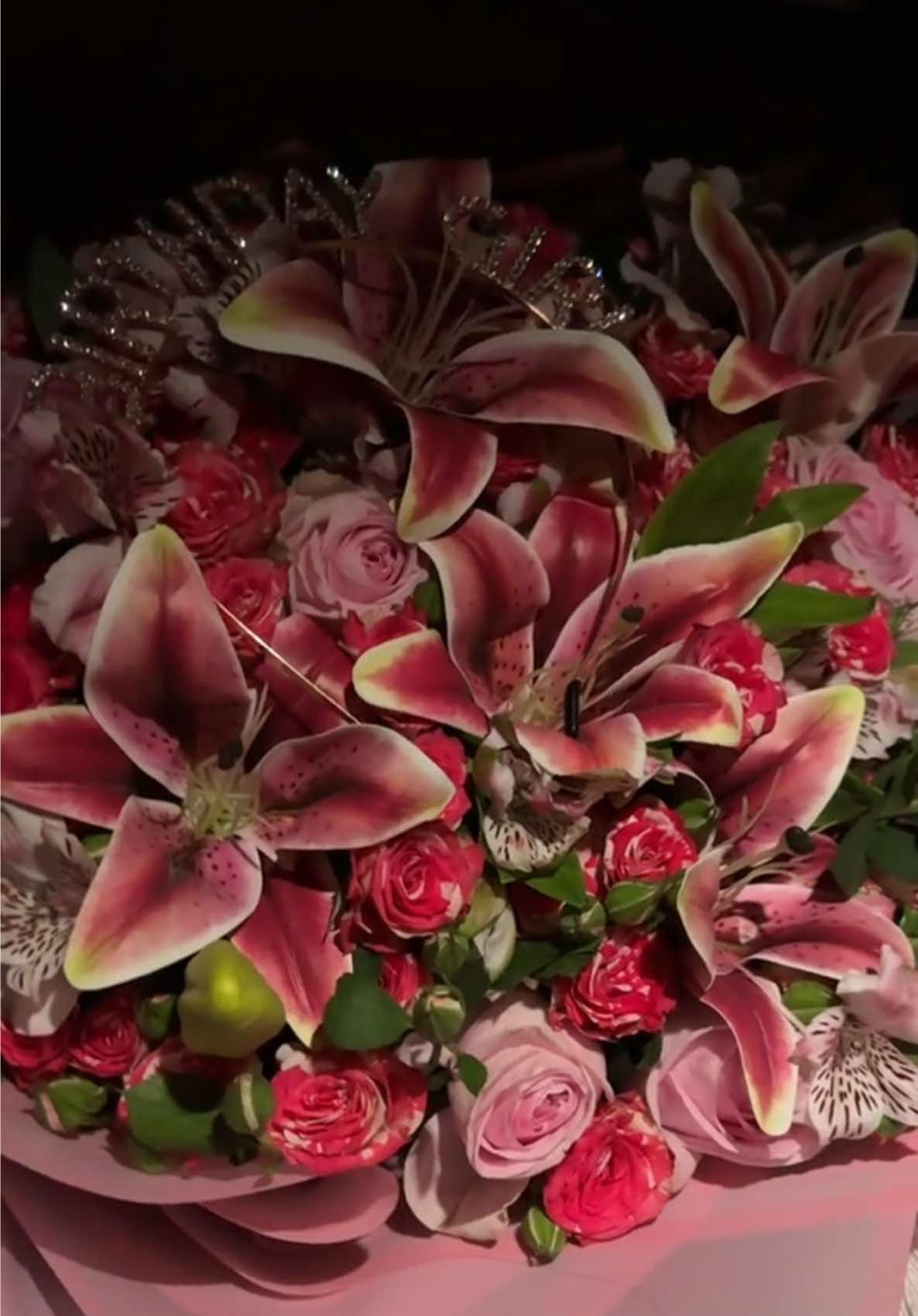 #lily صدفة🌷🌷