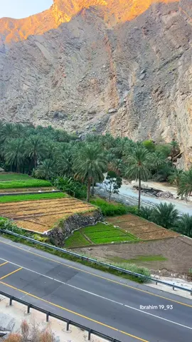 #طبيعة #توثيق_الحياة_اليومية #تصويري #توثيقي #الرستاق_وادي_السحتن 