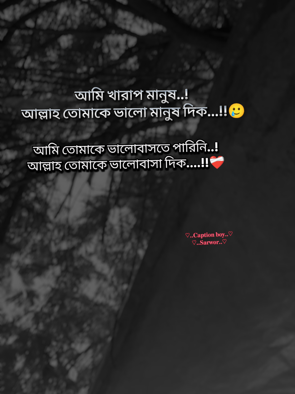 আমি খারাপ মানুষ..! আল্লাহ তোমাকে ভালো মানুষ দিক...!!আমি তোমাকে ভালোবাসতে পারিনি..!আল্লাহ তোমাকে ভালোবাসা দিক....!!
