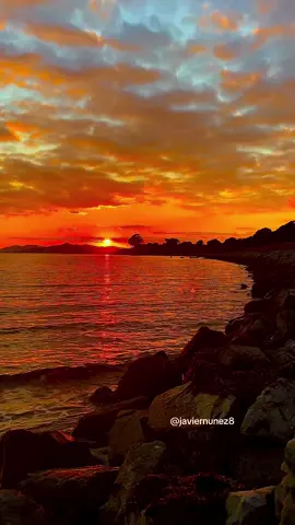 🫶#albanybulb #albanybeach #bayareasunset #californiasunset #sanfranciscobayareasunset 