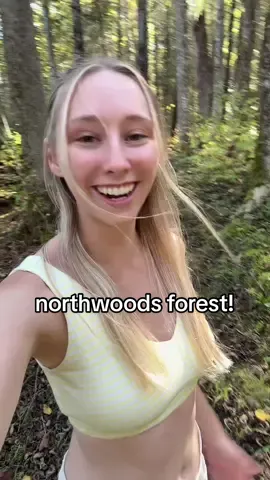 isn’t this northwoods forest magical?! #fyp #foryou #nature #Outdoors #Hiking 