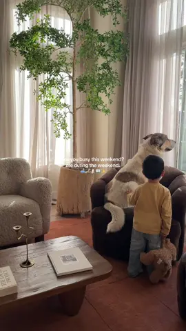I already made plans… with the living room. #livingroomdecor #cozyhome #stayingin #fallaesthetic #plush 