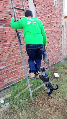 esse companheiro...amigos TDS hrs.....