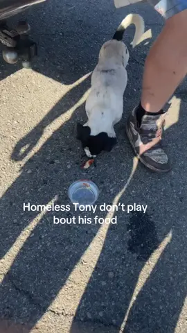 The things you see in Detroit lol #fyp #foryou