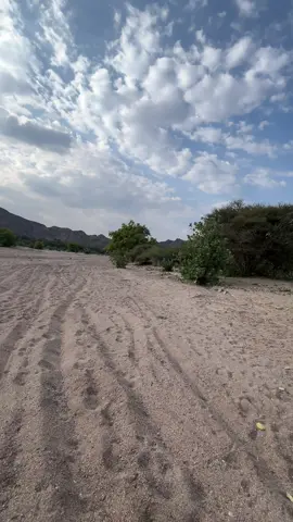 #اكسبلور #تصويري📷 #الجوف_سكاكا_دومة_طبرجل_القريات_ابوعجرم #اعاده_نشر🔁 