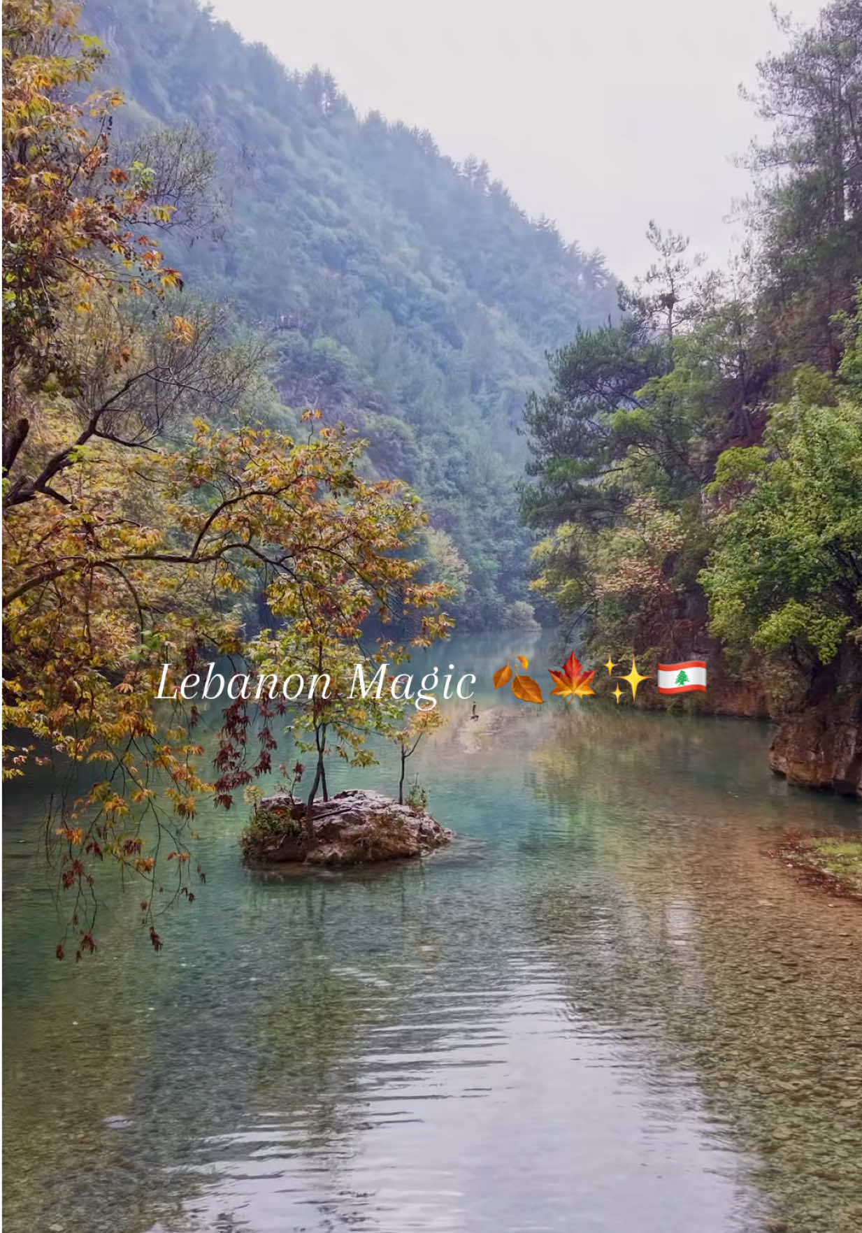 #lebanon #chowen #takebikelb #nature 