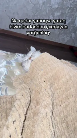 Ah üzümlü kekim❣️🧿