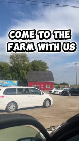 Looking for a fun outdoor activity for the family before the winter season? Give those children a fun and real experience at a local farm. We love going to the farm. #thingstodo #familyvlog #dayinmylife #farmanimals #fallactivities 