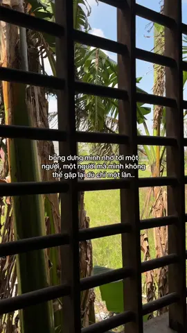 người ấy mình chỉ có thể gặp trong một giấc mơ nào đó..