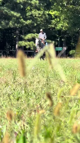 #amazing #videoskills #fyp #iykyk #horse @terryhorton33  I outdid myself on this one!!! Yo girl got skills 🤣🤣🤣🤣🤣!!! That chunky monkey you on makes us all look good 😌😌😌